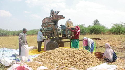 Threshing of crops