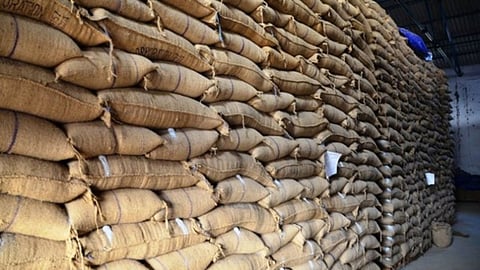 Warana sugar factory