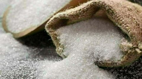 Sugar Production