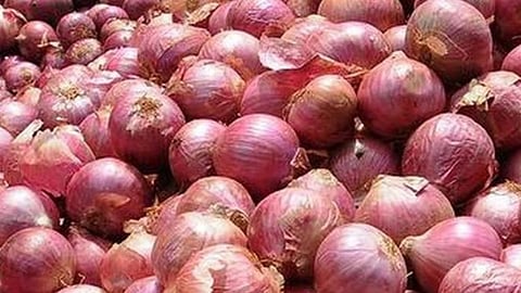 Onion Rate Online