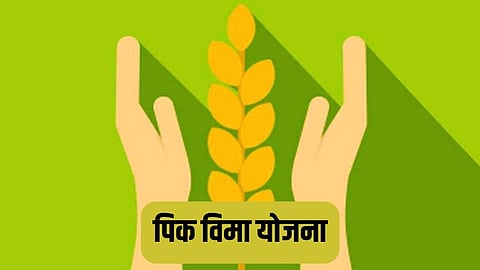 Crop Insurance Scheme
