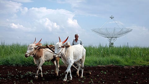 Indian Farmer