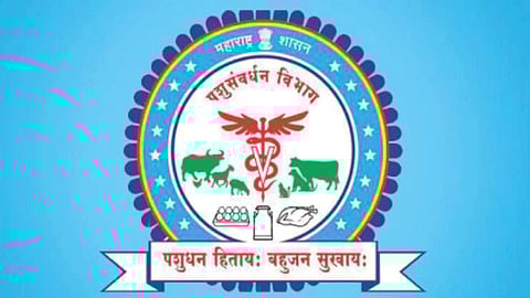 Animal Husbandry Department