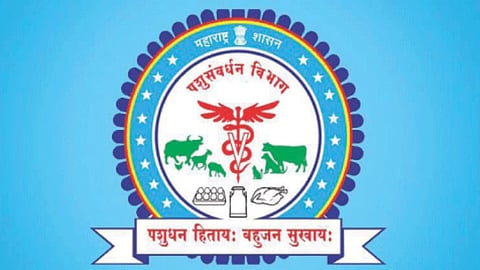 Animal Husbandry Department