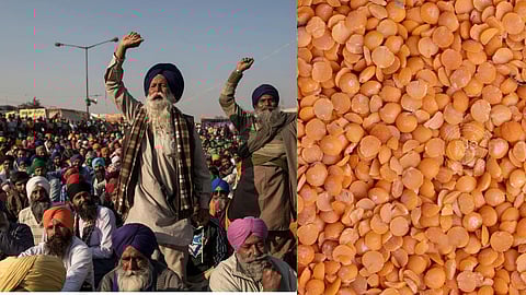 Government Procurement