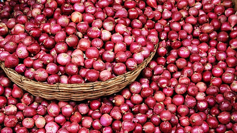 Onion Market