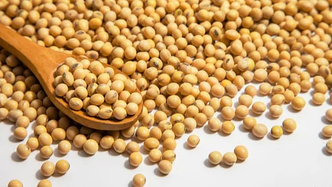 Soybean