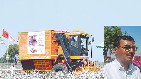 Cotton Cultivation : सघन कापूस लागवड तंत्रात हुकूमत मिळवलेले ठाकरे