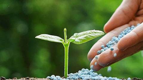 Fertilizer