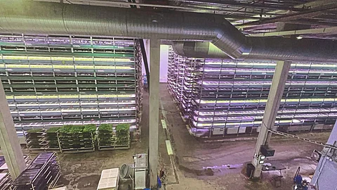 Hydroponics farming