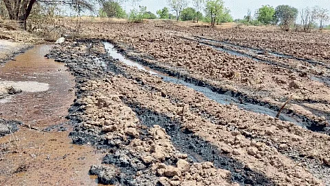 Chemical Mixed Agriculture