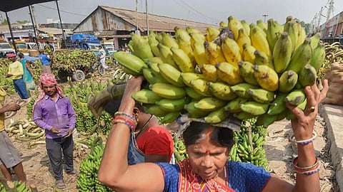 Banana Export