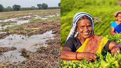 Farmer Loan