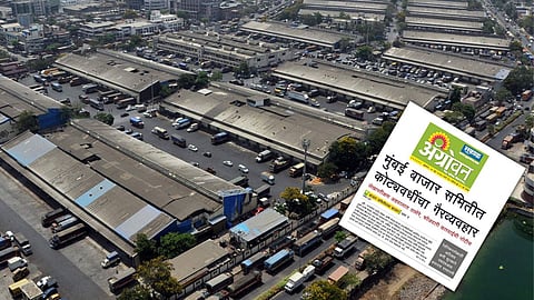 Mumbai APMC q