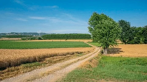 Indian Agriculture