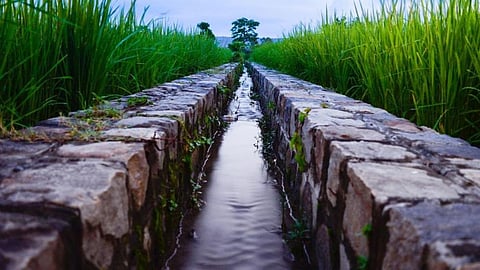 Agriculture Irriation