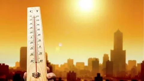 Summer Heat