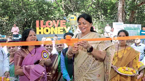 Chief Executive Officer R. Vimala