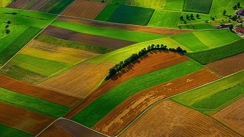 Agriculture Land