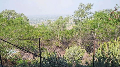 Sustainable Development