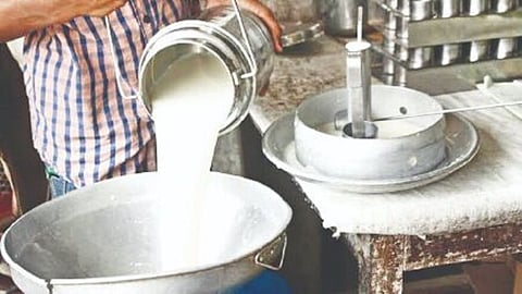 Maharashtra Milk