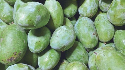 Kachha Mango