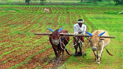 Mahatma Phule Protsahan Anudan