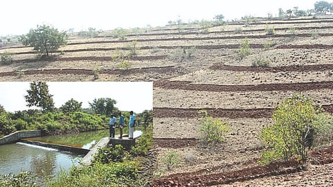 Soil and Water Conservation