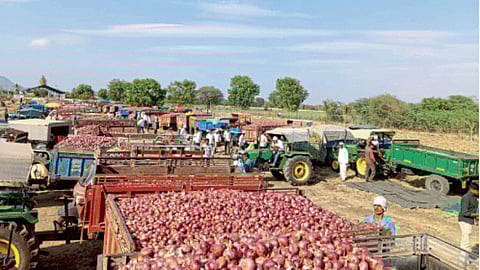 Onion Market