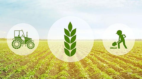 The logic of Agriculture