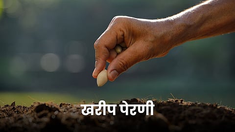 Kharif Sowing