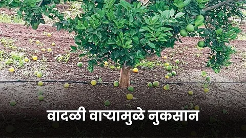 Crop Damage