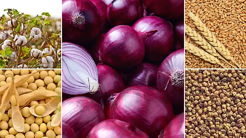 Agriculture Market