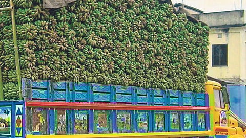 Banana Market