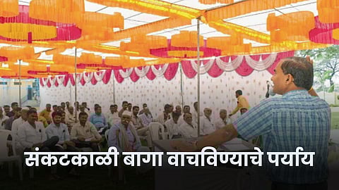 Head of Orange Research Center Dr. Sanjay Patil