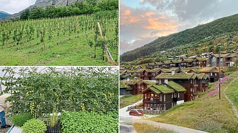 Norway Agriculture