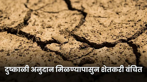 Drought Subsidy