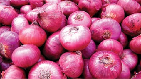 Onion