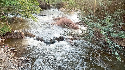 Agriculture Irrigation