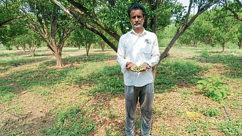 Crop Damage