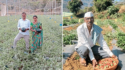 Tribal Agriculture Development