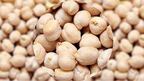 Chana