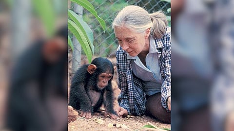 Dr. Jane Goodall