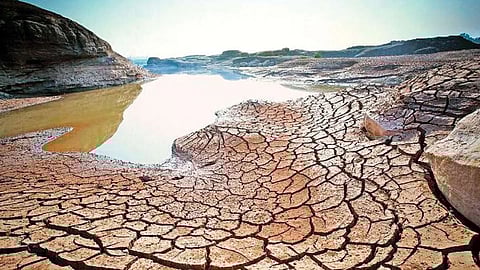 Sangli Water Issue