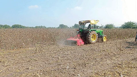 Cotton Farm