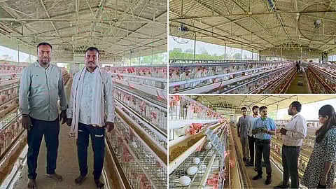 Pritam Lonkar and Poultry Business