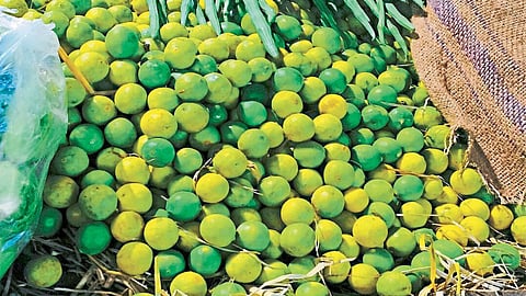 Lemon