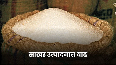 Sugar Production
