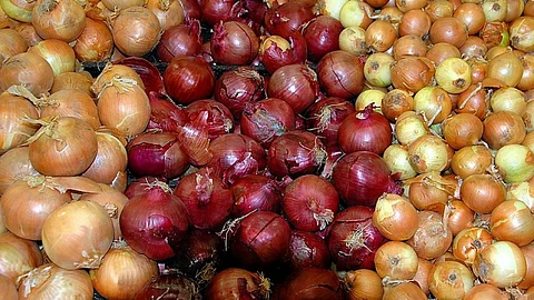 Onion Market