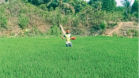 Summer Farming